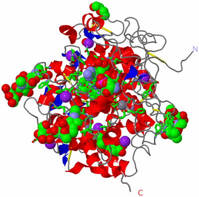 Image Asym./Biol. Unit - sites