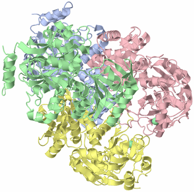 Image Asym./Biol. Unit