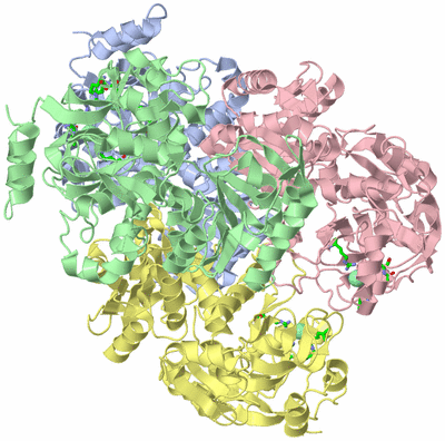 Image Asym./Biol. Unit - sites