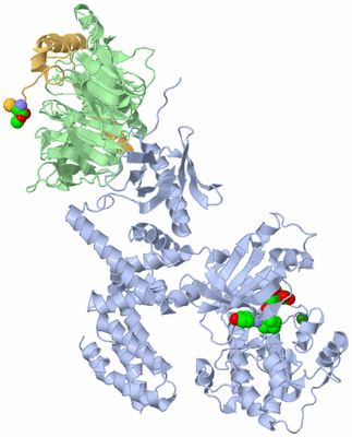 Image Asym./Biol. Unit