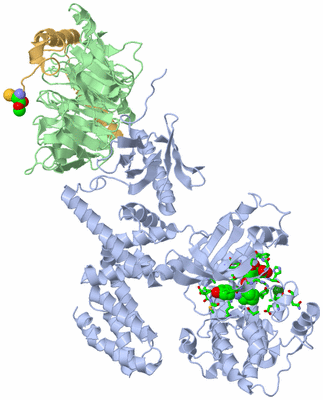 Image Asym./Biol. Unit - sites