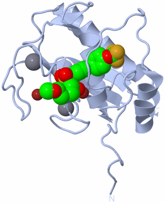 Image Biological Unit 1