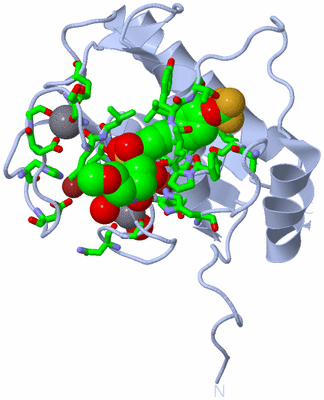 Image Biol. Unit 1 - sites