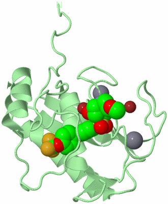 Image Biological Unit 2