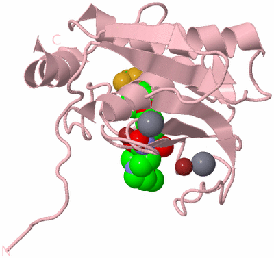 Image Biological Unit 3