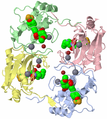 Image Biological Unit 5