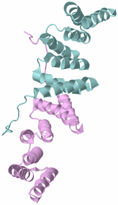 Image Biological Unit 3