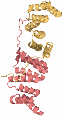 Image Biological Unit 4