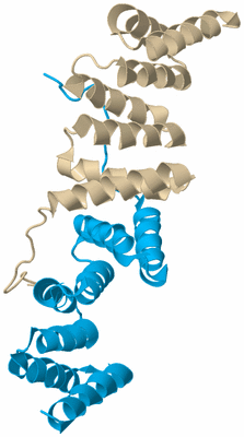 Image Biological Unit 5