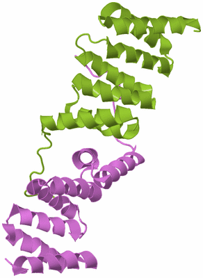 Image Biological Unit 7