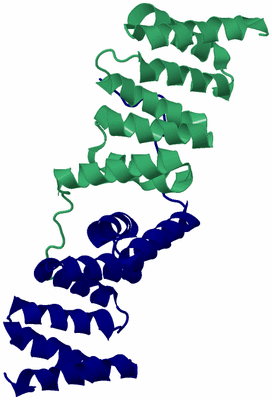 Image Biological Unit 9