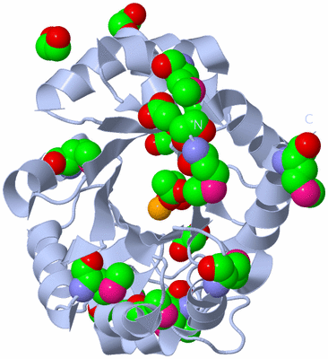 Image Biological Unit 1