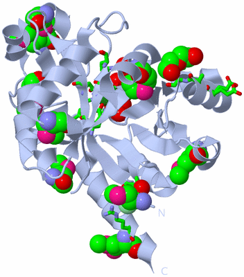 Image Biol. Unit 1 - sites