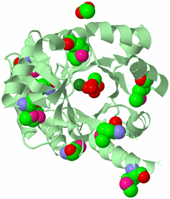 Image Biological Unit 2