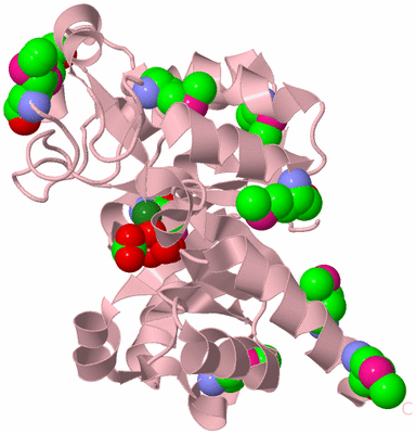 Image Biological Unit 3