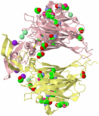 Image Biological Unit 2