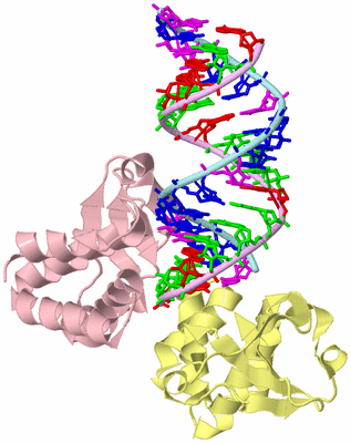 Image Biological Unit 2