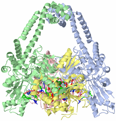 Image Asym./Biol. Unit - sites