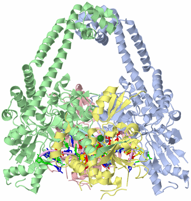 Image Asym./Biol. Unit