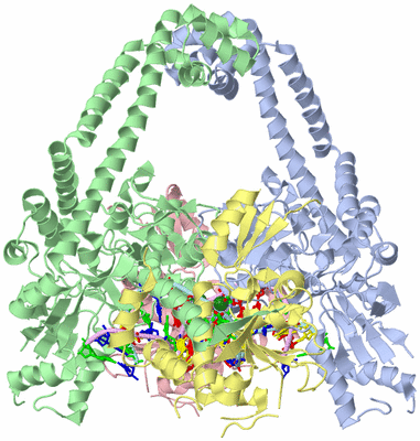 Image Asym./Biol. Unit - sites