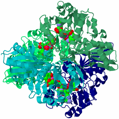 Image Asym./Biol. Unit