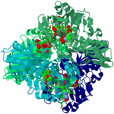 Image Asym./Biol. Unit - sites