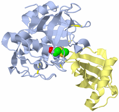 Image Biological Unit 1