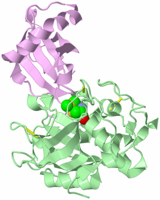 Image Biological Unit 2