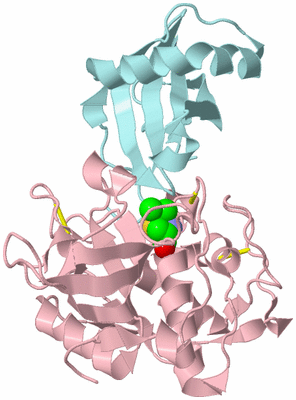 Image Biological Unit 3