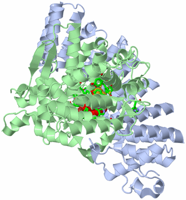Image Asym./Biol. Unit - sites