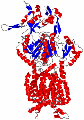 Image Asym. Unit - sites