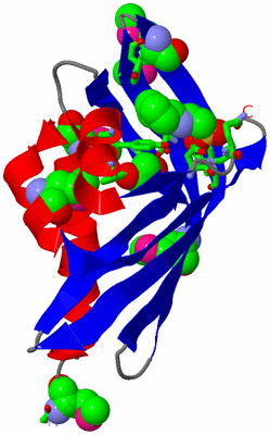 Image Asym. Unit - sites