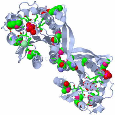 Image Biol. Unit 1 - sites