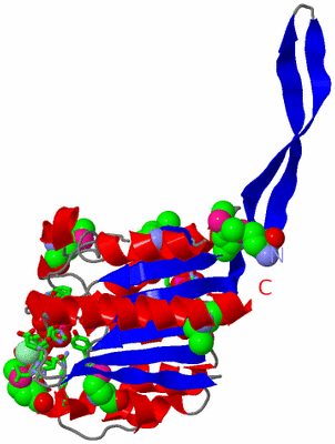 Image Asym. Unit - sites