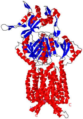 Image Asym. Unit - sites