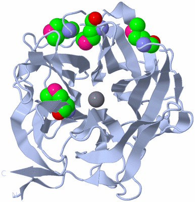 Image Biological Unit 1