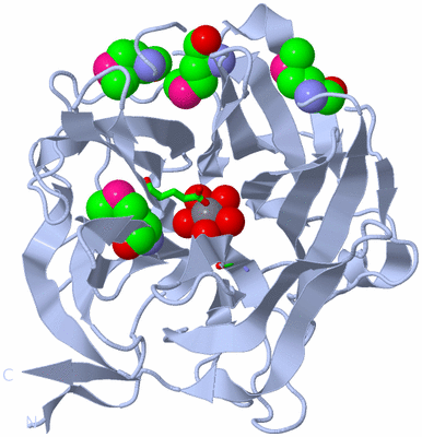 Image Biol. Unit 1 - sites