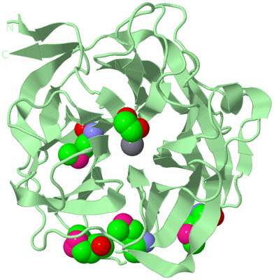 Image Biological Unit 2