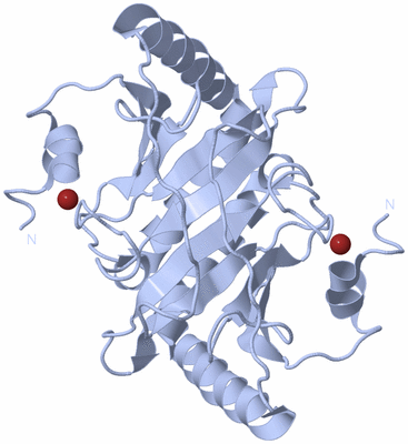 Image Biological Unit 1