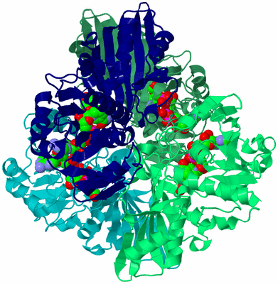 Image Asym./Biol. Unit