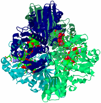 Image Asym./Biol. Unit - sites