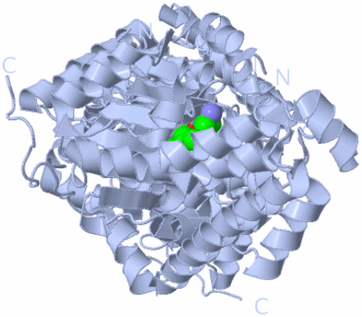 Image Biological Unit 1