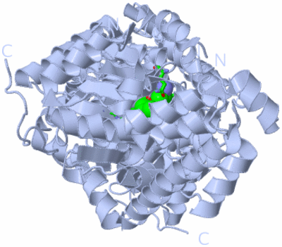 Image Biol. Unit 1 - sites