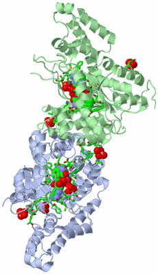 Image Biol. Unit 1 - sites