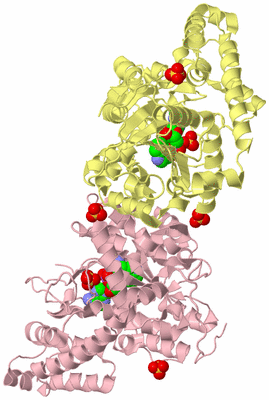 Image Biological Unit 2