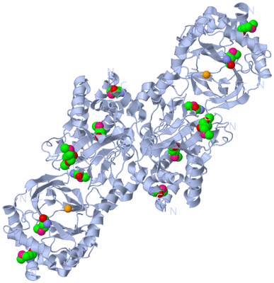 Image Biological Unit 1