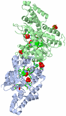 Image Biol. Unit 1 - sites