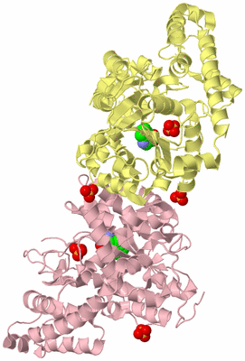 Image Biological Unit 2