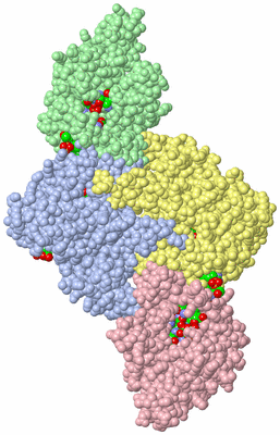 Image Asym. Unit - sites