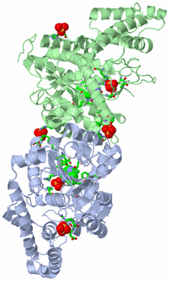 Image Biol. Unit 1 - sites